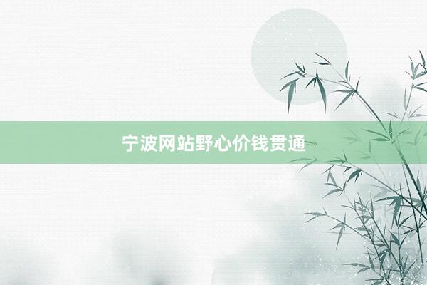 宁波网站野心价钱贯通