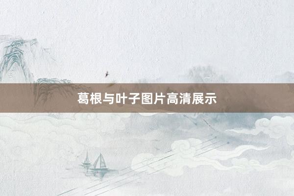 葛根与叶子图片高清展示
